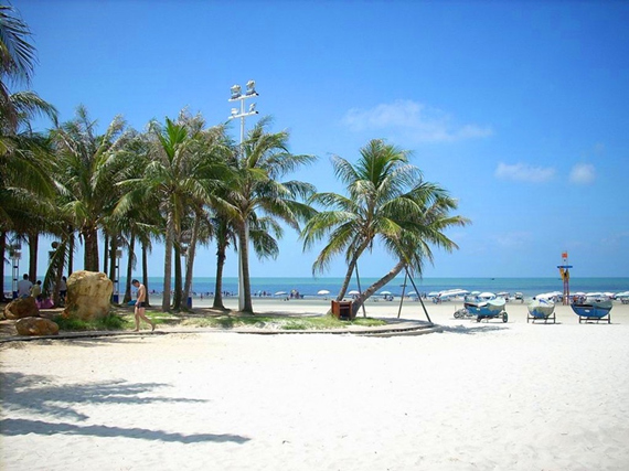 �������������ލu�������V������������