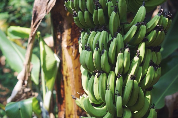 �������������ލu���Σ��V������������