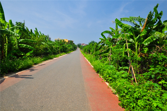 �������������ލu�������V������������