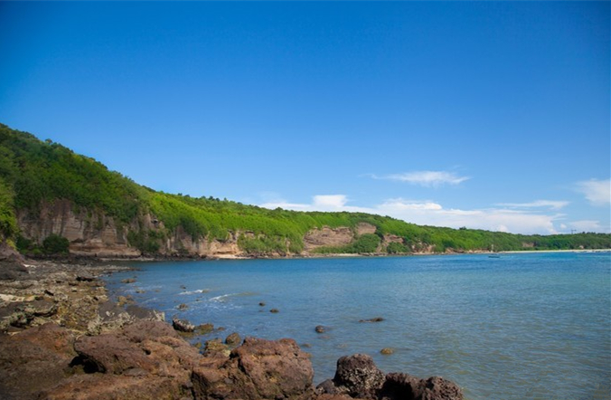 ���ލu�������V������������