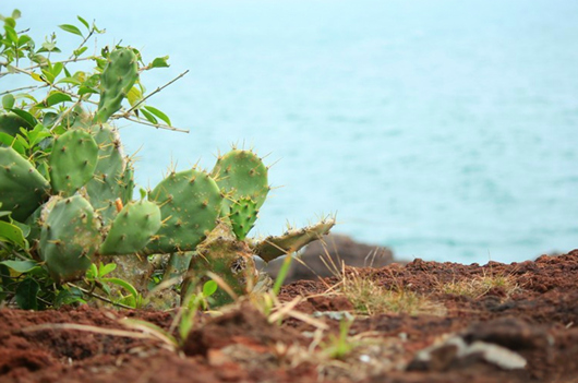 ���ލu�������V������������