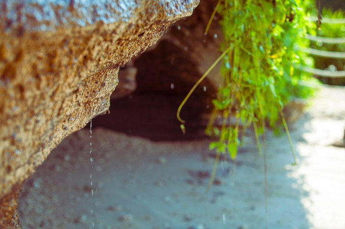 ���ލu�������V������������