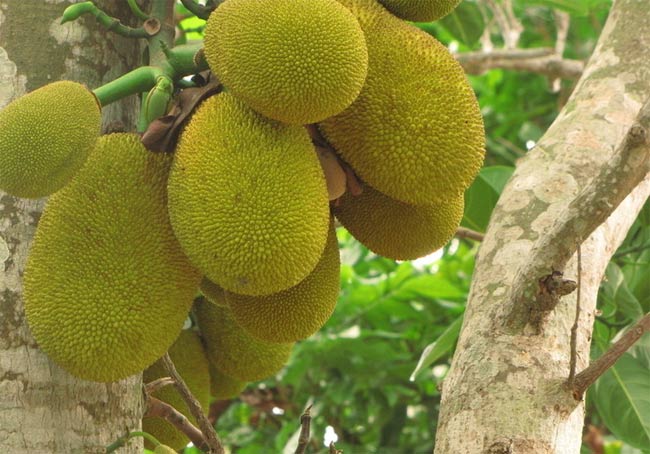 ���ލu�����}�����V������������