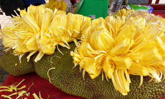 ���ލu�����}�����V������������