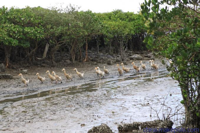 ���������������V������������