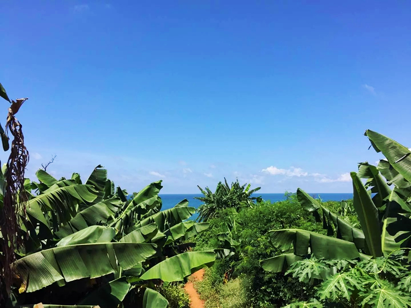 ���������ލu���V������������