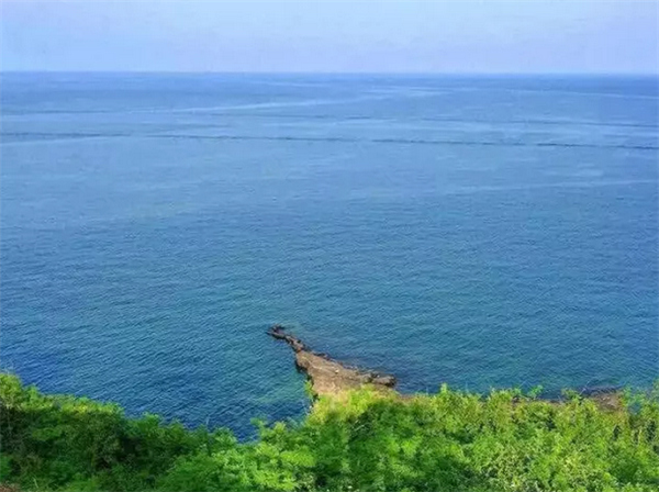 ���������ލu���V������������