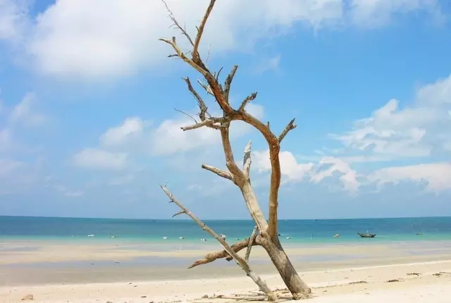 ���������ލu���V������������