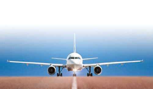 �CƱ���������V������������