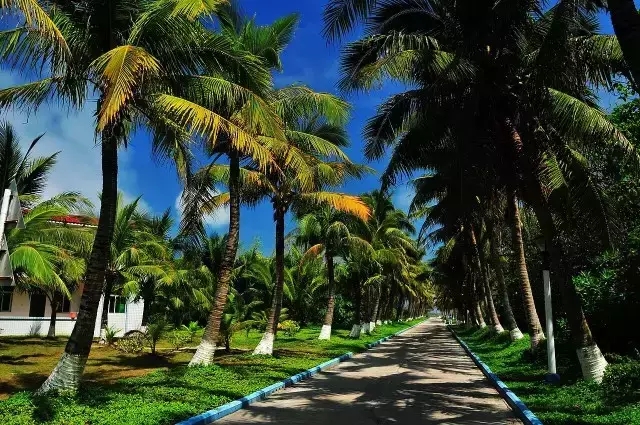 �u�Z�����ލu���V������������