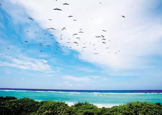 �u�Z�����ލu���V������������