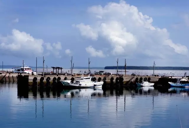 �u�Z�����ލu���V������������