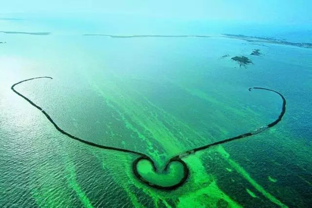 �u�Z�����ލu���V������������