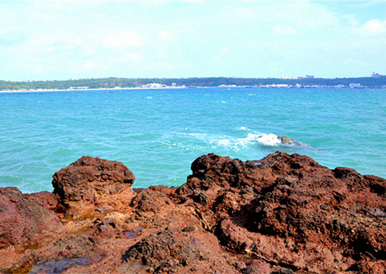 ���������ލu�������V������������