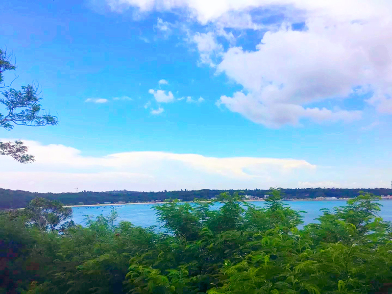 ���������ލu�������V������������