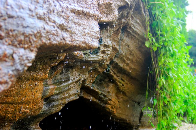 ���������ލu�������V������������