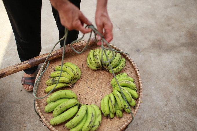 ���������ލu�������V������������