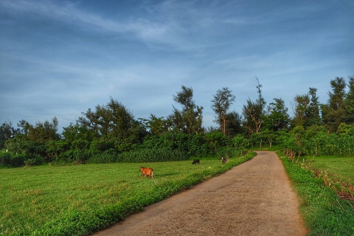 ���������ލu�������V������������