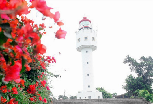 ���ލu�������V������������