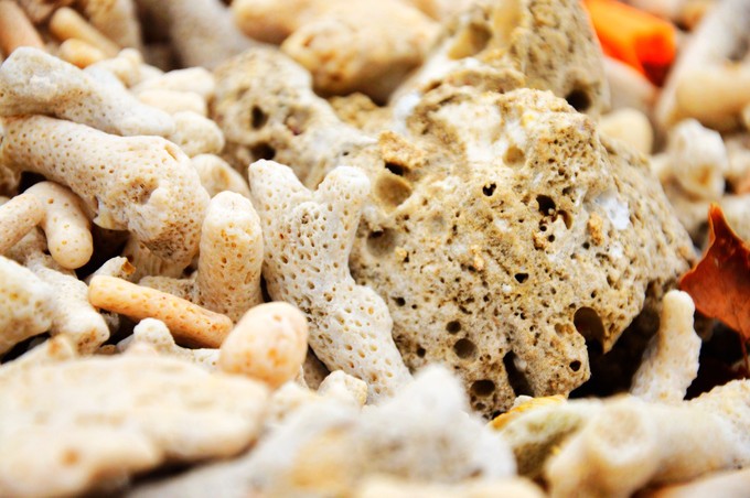 ���ލu�������V������������