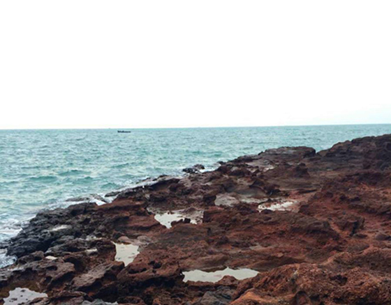 ���ލu���ι��ԣ��V������������