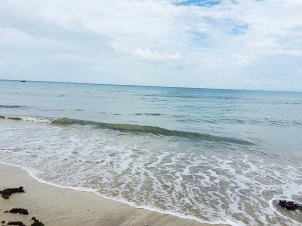 ���ލu���ι������V������������