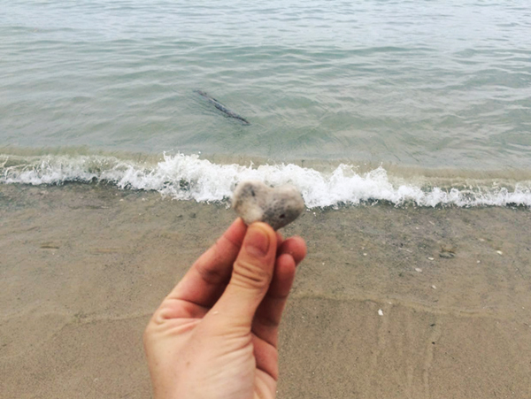 ���ލu���ι������V������������