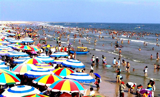 �����������V������������