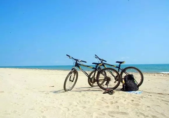 ���ލu���ι������V������������