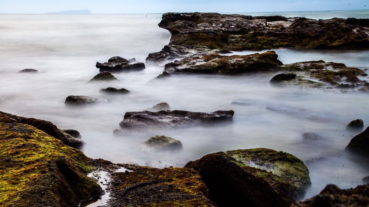 ���ލu���ι������V������������