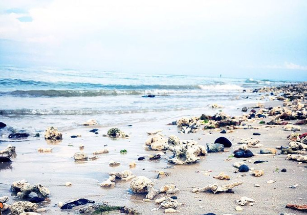 ���ލu���ι��������ލu���Σ��V������������