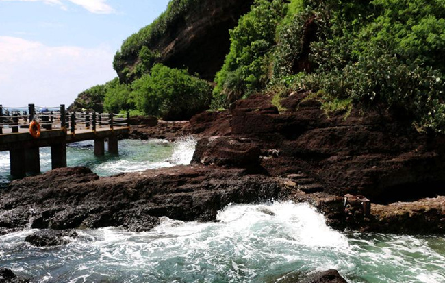 �V�����������������ލu����