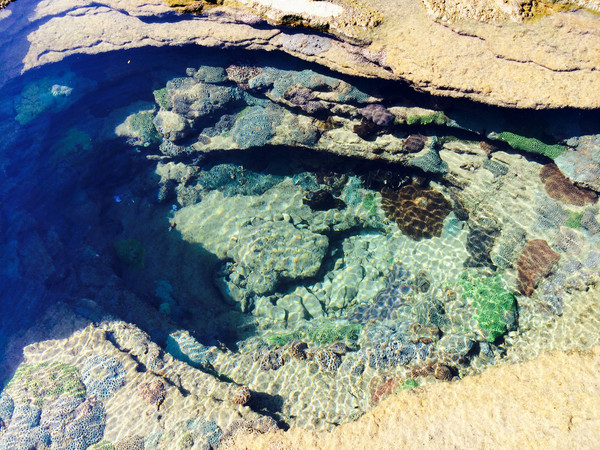 �V�����������������ލu���ι���