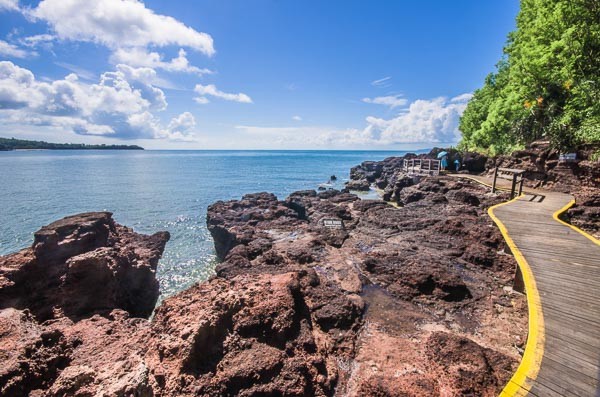 �V�����������������ލu����