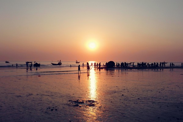 �V�����������������ލu����