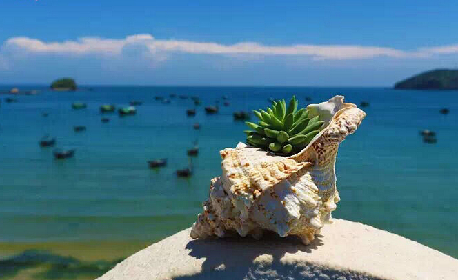 �V�����������������ލu����