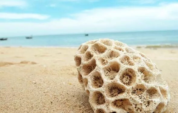 �V�����������������ލu����