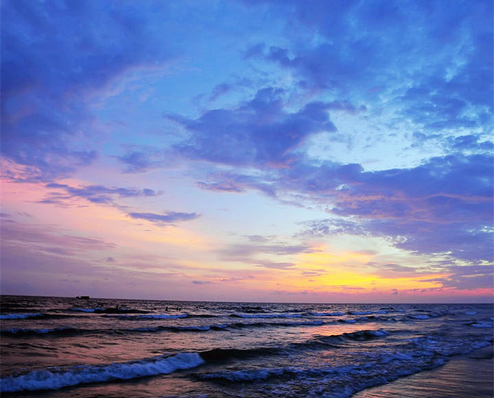 �V�����������������ލu���ι���