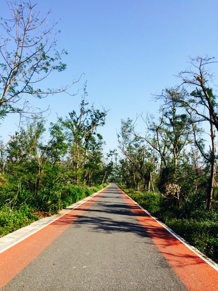 �V�����������������ލu���ι���