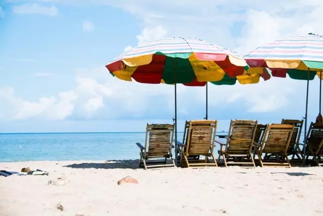 �V�����������������ލu����