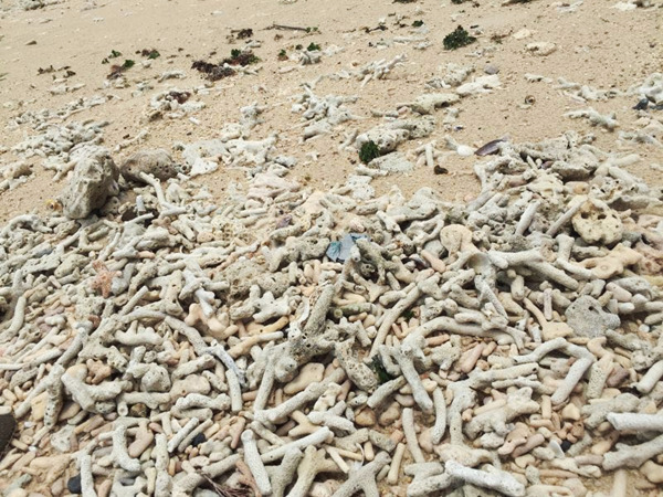 �V�����������磬���ލu