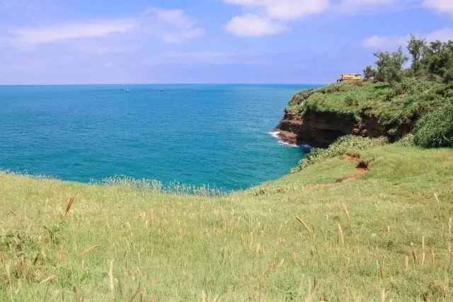 �V�����������������ލu