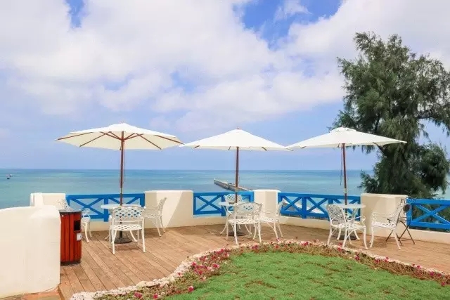 �V�����������������ލu