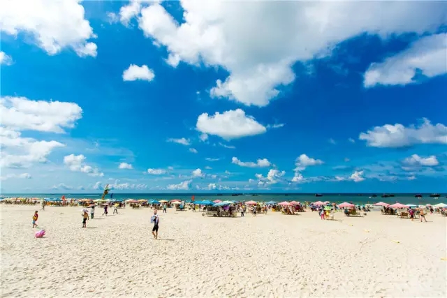 �V�����������������B�B(y��ng)������������